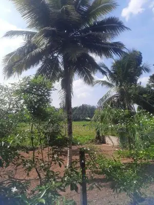 Land For Sale In Homagama