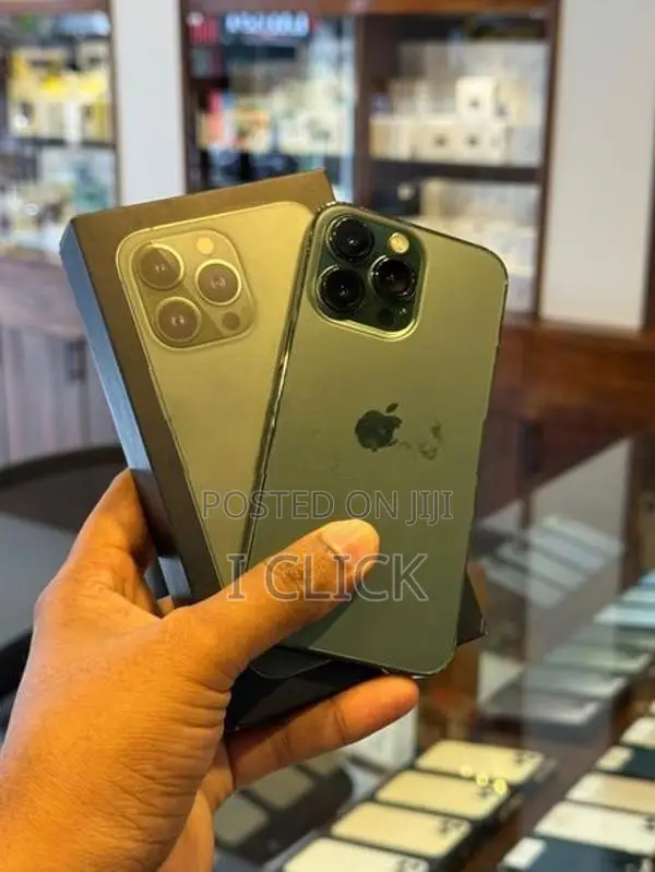 Apple iPhone 13 Pro 256GB (Used)