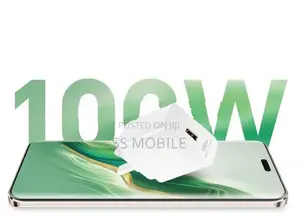 Honor 100W GAN Charger
