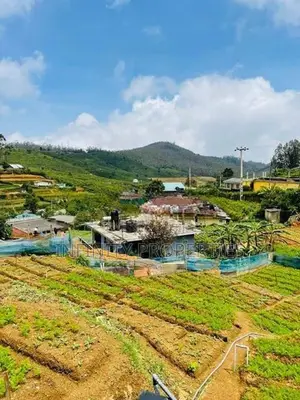 (AFA787) Dawns Bungalow For Sale in Nuwaraeliya