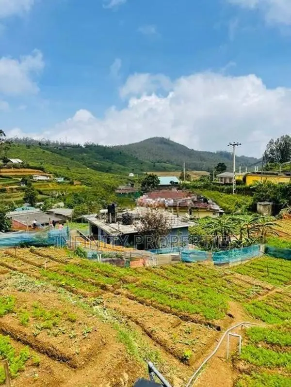 (AFA787) Dawns Bungalow For Sale in Nuwaraeliya