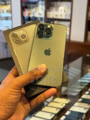 Apple iPhone 13 Pro 256GB (Used)
