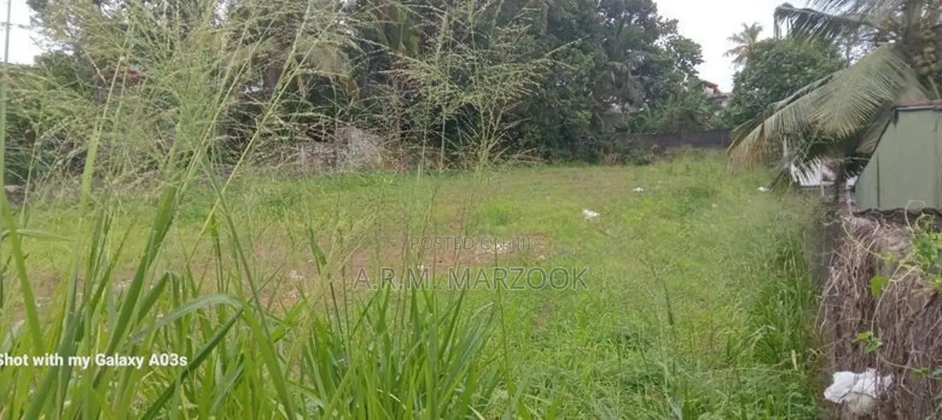 Pannipitiya Off Boralla Rd 56 Perches Square Bare Land For Sale