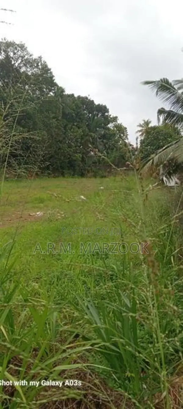 Pannipitiya Off Boralla Rd 56 Perches Square Bare Land For Sale