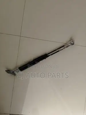 Nissan March K12 Dicky Shocks