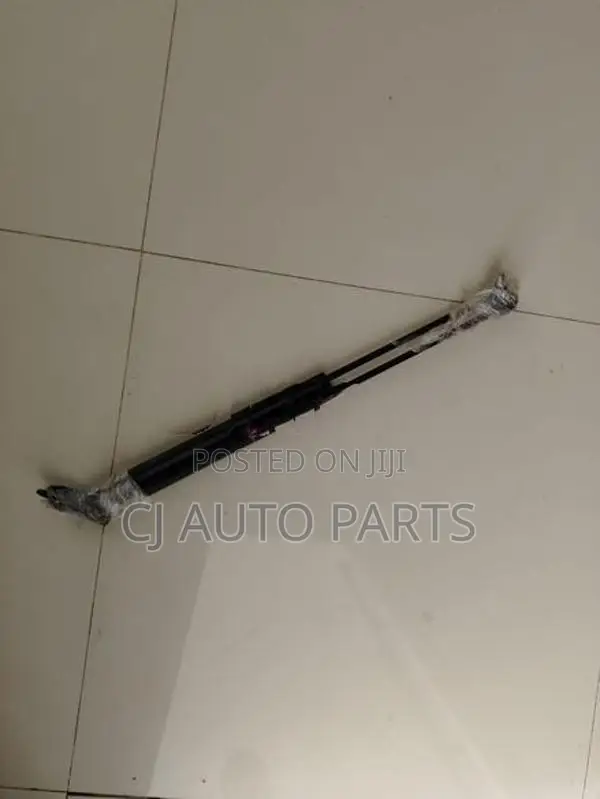 Nissan March K12 Dicky Shocks