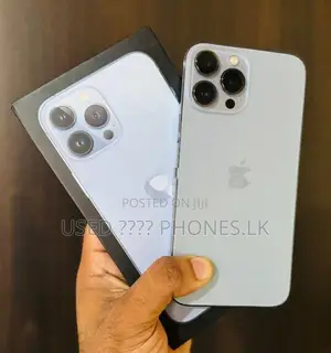 Apple iPhone 13 Pro Max 256GB (Used)