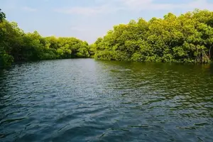 (AF551) Water Front 23.5 Acre Land Sale At Chilaw
