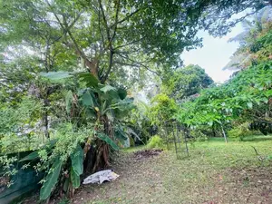 (AFA800) 20 P Bare Land Sale At Werasekera Road Thalawathugoda