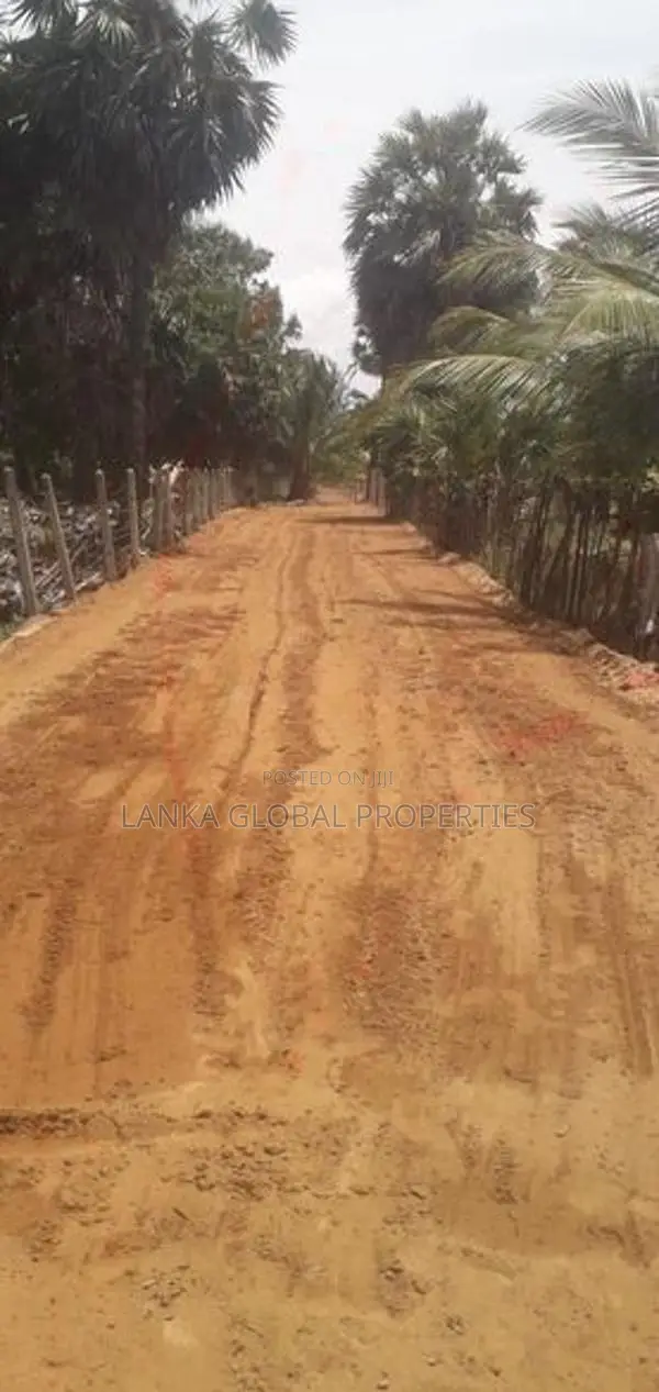 Land for Sale in Iyakachi