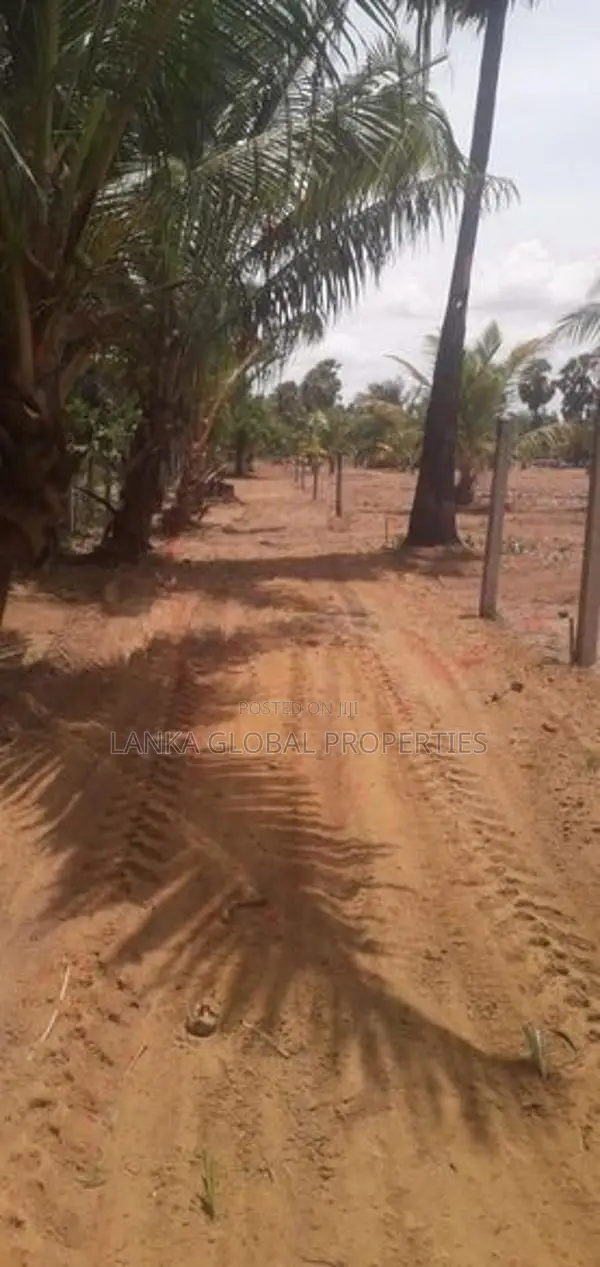 Land for Sale in Iyakachi