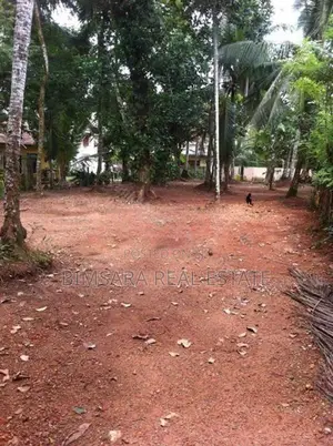 52.13P Land with Commercial Value in Kiriberiyakele Junction | SL10365
