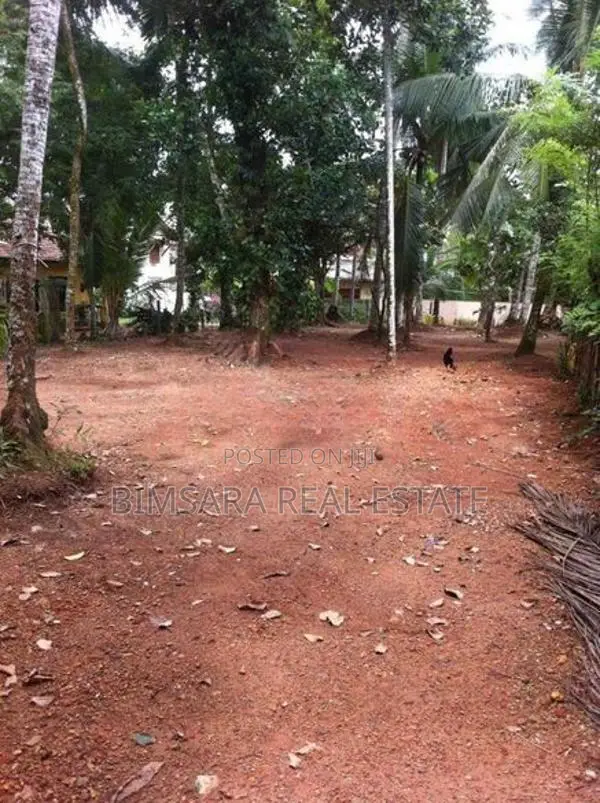52.13P Land with Commercial Value in Kiriberiyakele Junction | SL10365