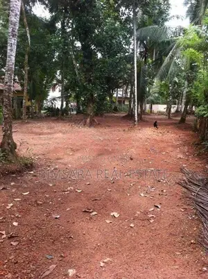 52.13P Land with Commercial Value in Kiriberiyakele Junction | SL10365