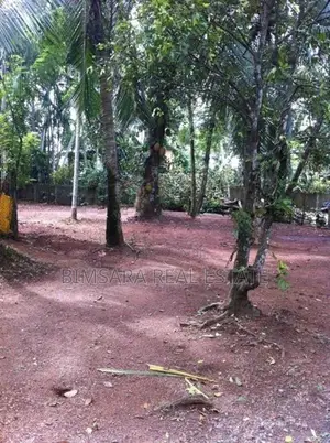52.13P Land with Commercial Value in Kiriberiyakele Junction | SL10365