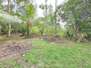 පර්චස් 37 ක ඉඩම් කැබැල්ල ඉක්මනින විකිනීමට - පයාගල
