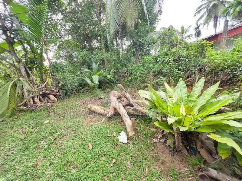 පර්චස් 37 ක ඉඩම් කැබැල්ල ඉක්මනින විකිනීමට - පයාගල