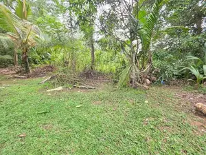 පර්චස් 37 ක ඉඩම් කැබැල්ල ඉක්මනින විකිනීමට - පයාගල