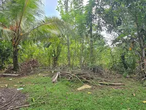 පර්චස් 37 ක ඉඩම් කැබැල්ල ඉක්මනින විකිනීමට - පයාගල