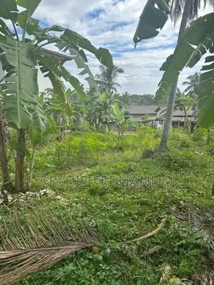 Bare Land Nugegoda