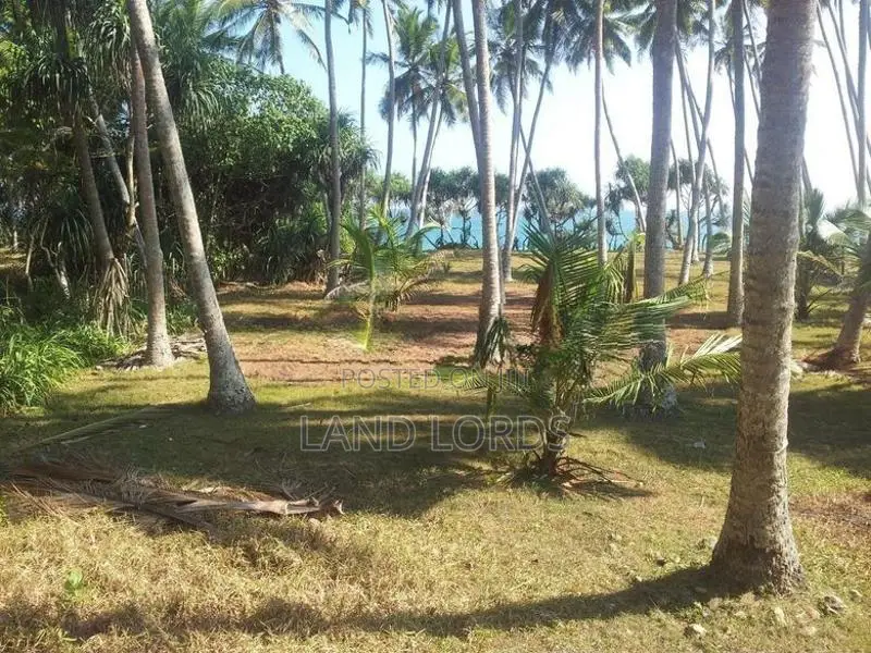 500P Beachfront Land in Ranna Tangalle For Sale