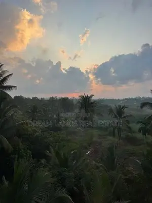 ☆ Bandaragama Studio Type Aprtment for Rent ( R- 515)