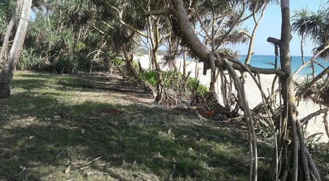 500P Beachfront Land in Ranna Tangalle For Sale