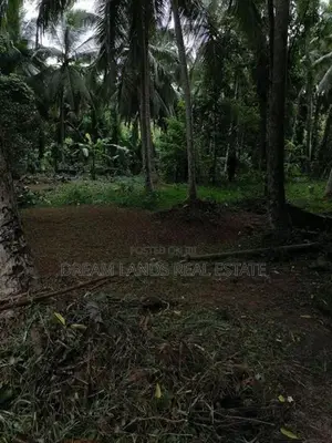 LAND FOR SALE IN WALIWERIYA (SP1000)