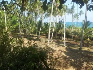 500P Beachfront Land in Ranna Tangalle For Sale