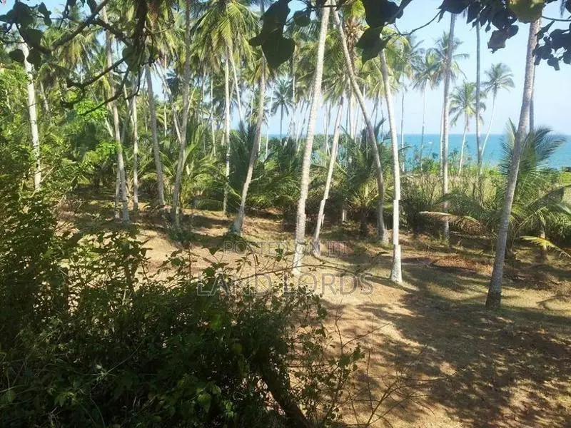 500P Beachfront Land in Ranna Tangalle For Sale