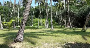 500P Beachfront Land in Ranna Tangalle For Sale