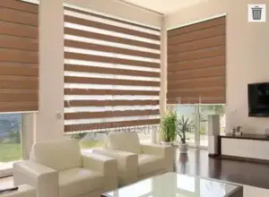 Zebra Blinds