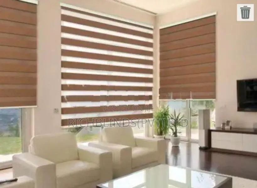 Zebra Blinds