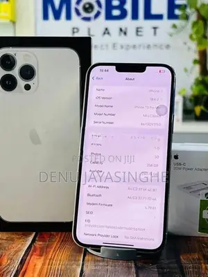 Apple iPhone 13 Pro Max 256GB (Used)