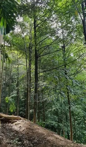 Land for Sale Matale