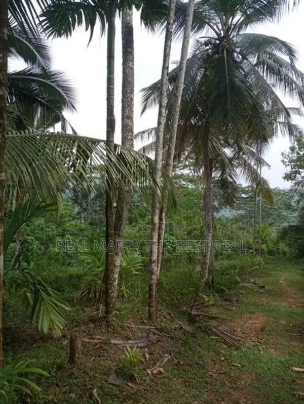 Amithirigala : 200 perches Land with Under construction House for Sale
