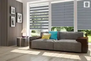 Zebra Blinds