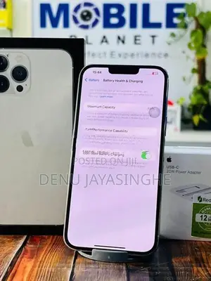 Apple iPhone 13 Pro Max 256GB (Used)