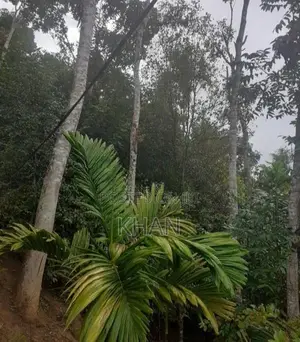 Land for Sale Matale