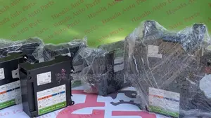 Hybrid Battery