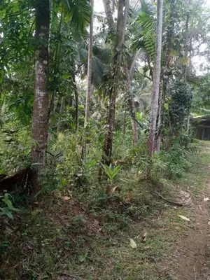 Amithirigala : 200 perches Land with Under construction House for Sale