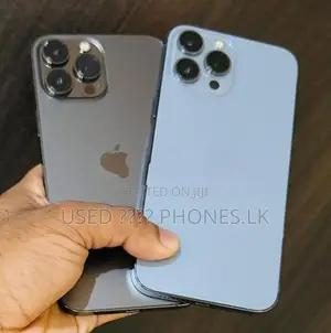 Apple iPhone 13 Pro Max 256GB (Used)