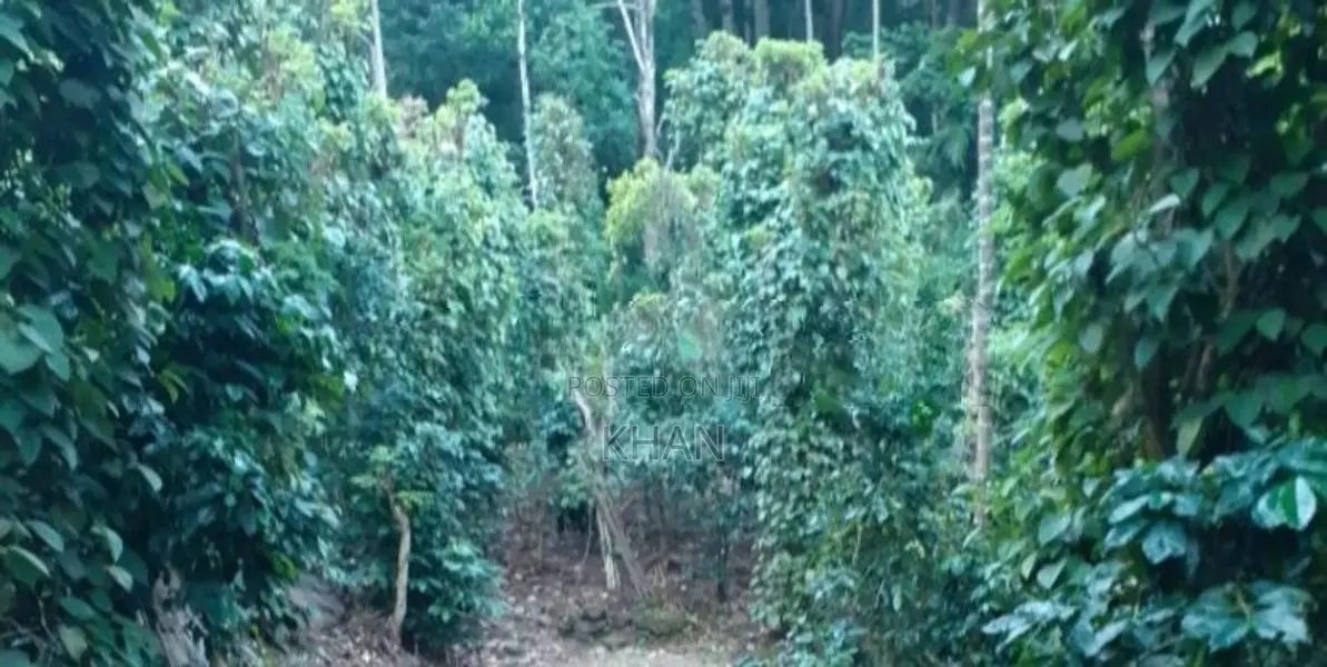 Land for Sale Matale