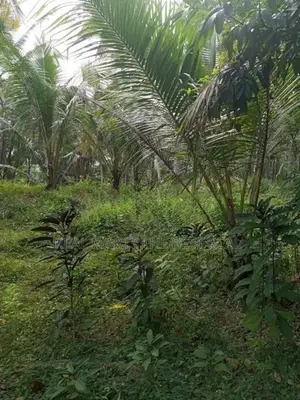 Amithirigala : 200 perches Land with Under construction House for Sale