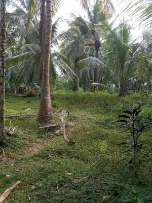 Amithirigala : 200 perches Land with Under construction House for Sale