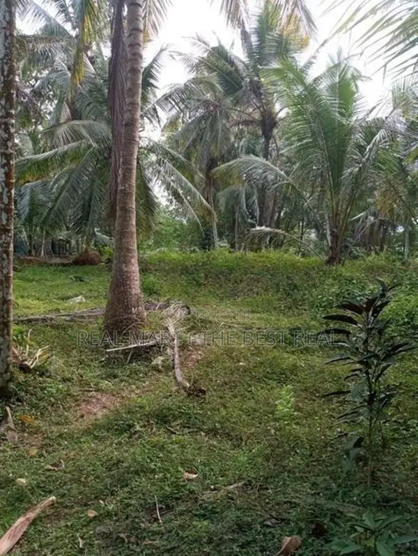 Amithirigala : 200 perches Land with Under construction House for Sale