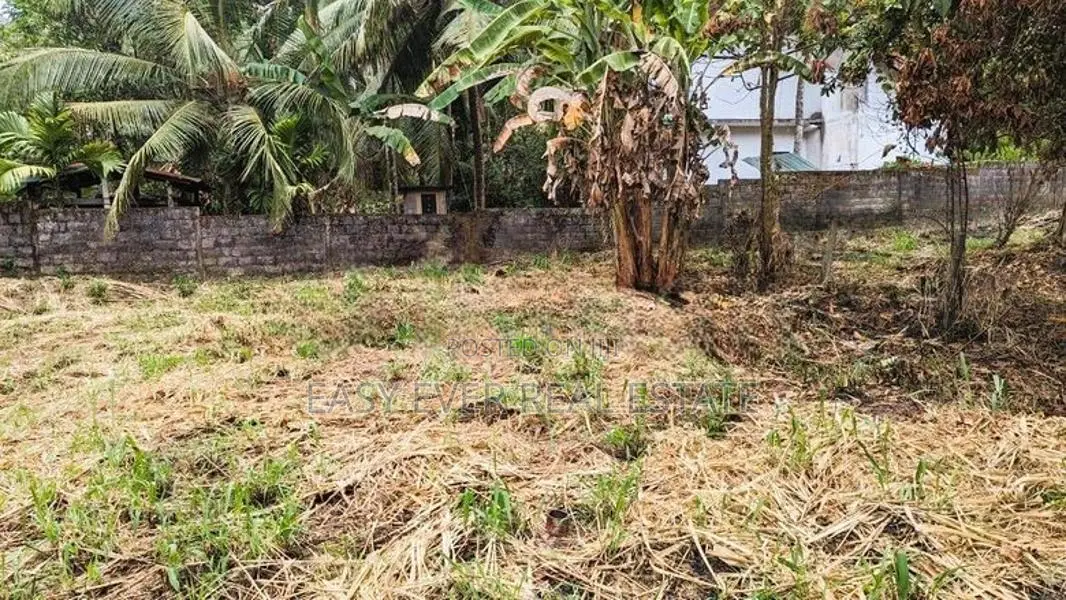නිට්ටඹුව – එල්ලක්කල, කටුලන්ද වත්ත බිම්කොටසක් විකිණීමට