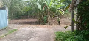 Kalutara : 11.6 Perches Land for Sale at Ethanamadala