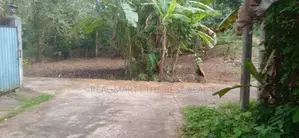 Kalutara : 11.6 Perches Land for Sale at Ethanamadala