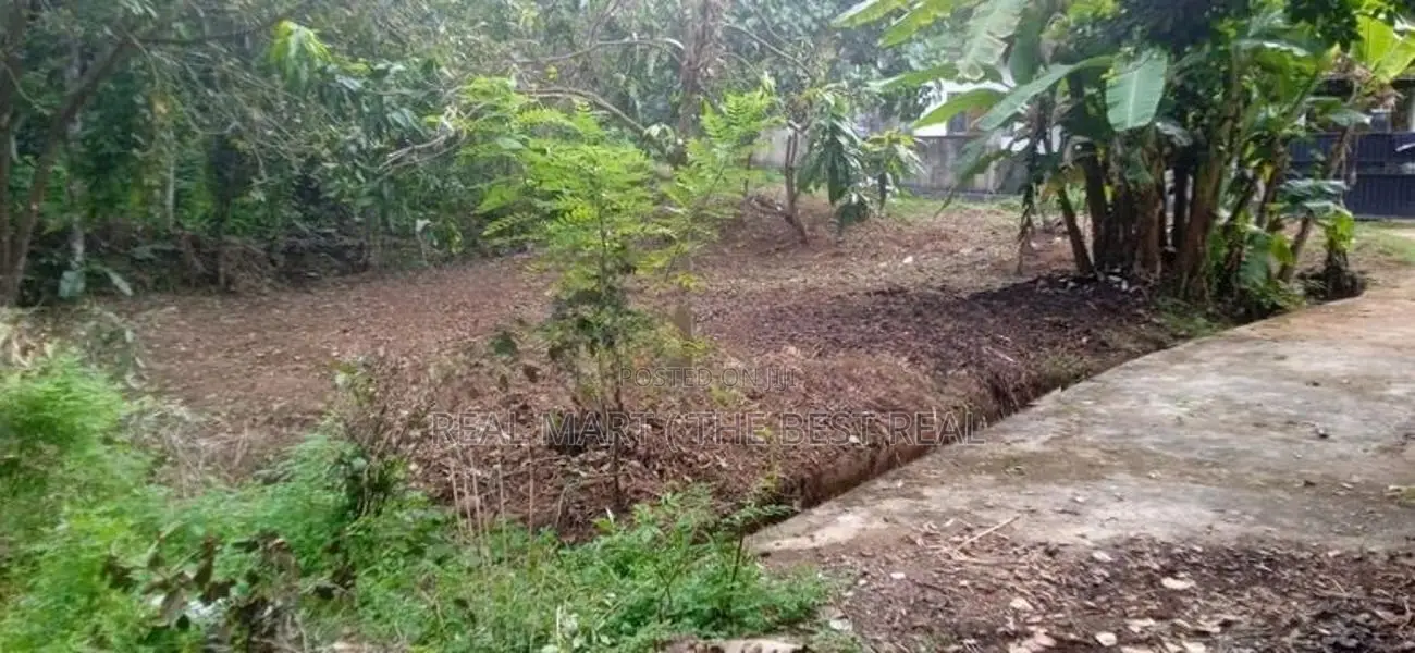 Kalutara : 11.6 Perches Land for Sale at Ethanamadala